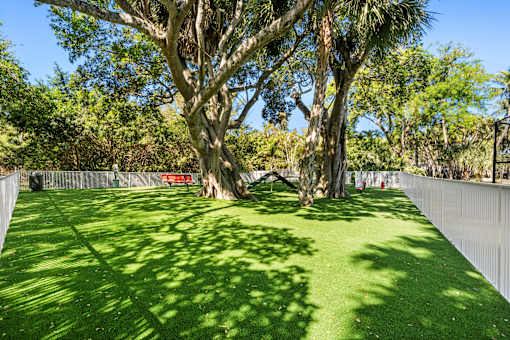 A backyard with a green lawn and a large tree.