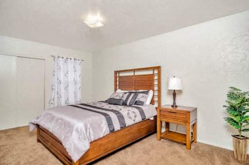 A bedroom with a bed, nightstand, and plant.
