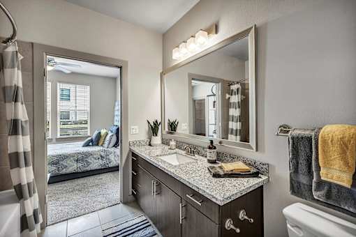 A bathroom with a checkered shower curtain and a mirror above a counter.