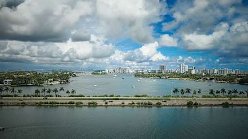 A cityscape with a body of water and palm trees.