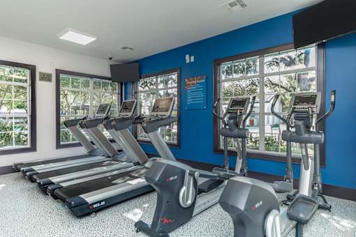 A gym with treadmills and a window showing trees.