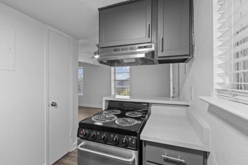 V1 kitchen