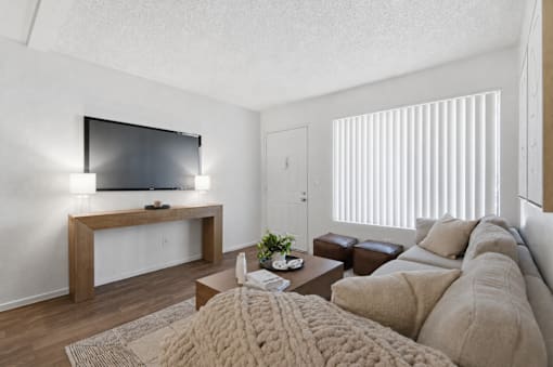 A living room with a couch, a coffee table, and a television.