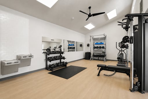 A gym with a variety of equipment including weights and a bench.