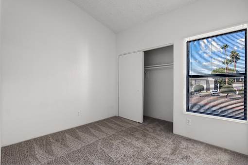 A room with a carpeted floor and a window showing a view of a street with a palm tree.