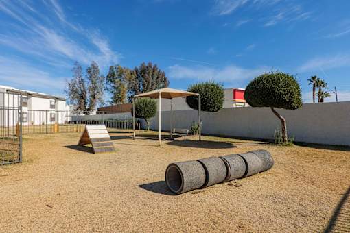 A playground with a slide, swings, and a tree.
