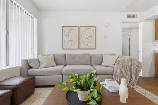 A living room with a grey sofa, a coffee table with a plant and a bottle on it, and two framed artworks on the wall.