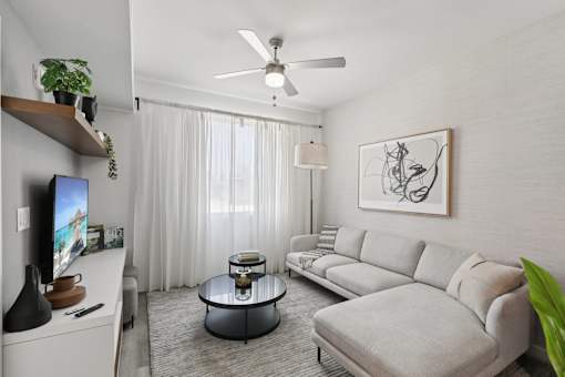 A living room with a grey sofa, a coffee table, a television, and a plant.