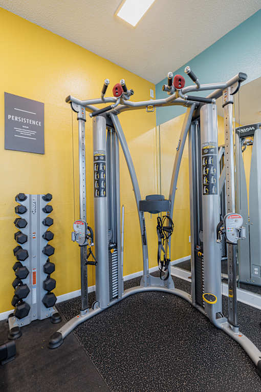A gym with a yellow wall and a sign that says "Persistence".