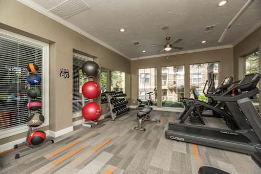 Gym with exercise balls at Woodbridge Villas Apartments, Sachse, 75048