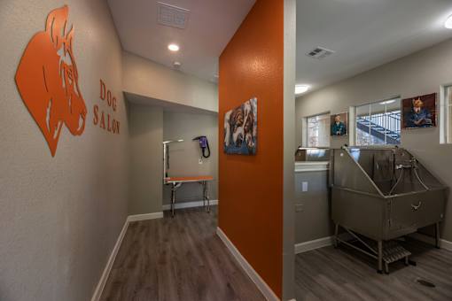 Pet wash station at Woodbridge Villas Apartments, Sachse, TX