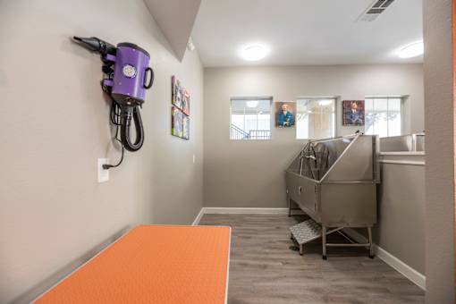 Pet spa at Woodbridge Villas Apartments, Sachse, 75048