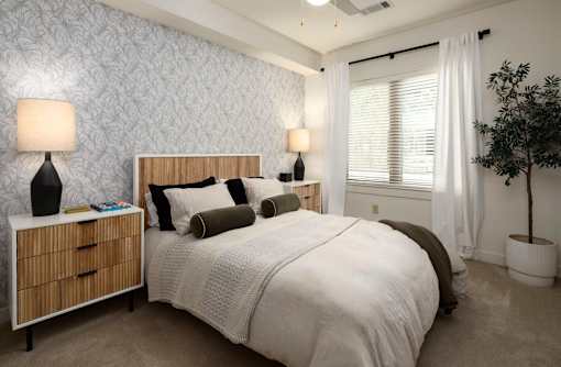 A bedroom with a large bed, a nightstand with a lamp, and a potted plant.