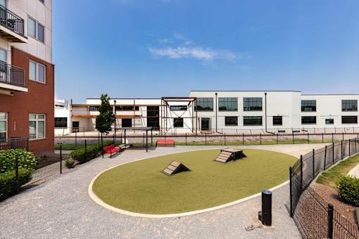 A courtyard with a fence and a small tree.