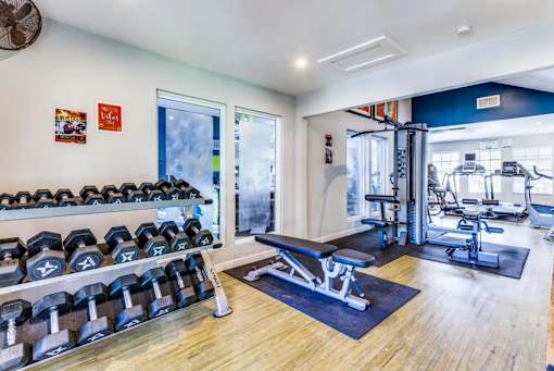 A gym with a variety of equipment including dumbbells, weight plates, and a bench press.