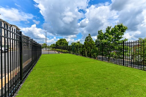 A black fence surrounds a green field.