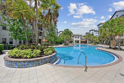 A pool surrounded by palm trees and a tiled border.