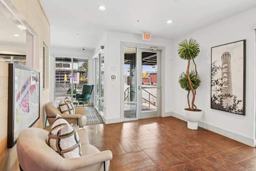 A living room with a couch and a plant.