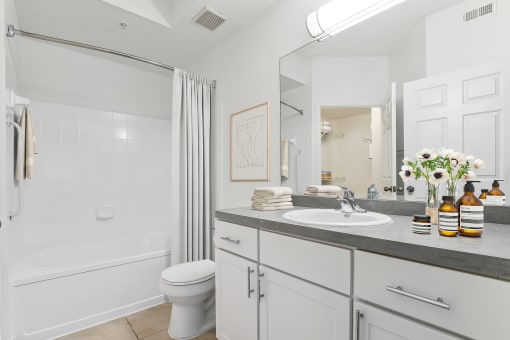 a bathroom with a sink and a toilet and a shower