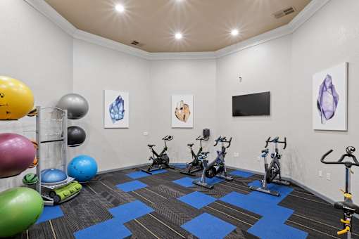 A gym with exercise equipment and exercise balls.