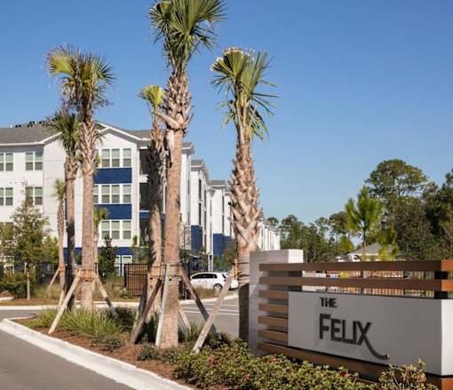 A sign that says "The Felix" is in front of a building with palm trees.