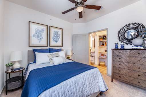 A bedroom with a blue bedspread and a ceiling fan.