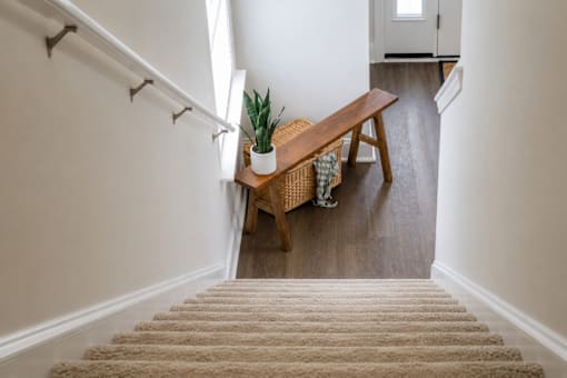 A staircase with a carpeted runner and a wooden bench with a plant on it.
