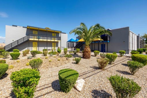 a house with a courtyard with palm trees and other buildings