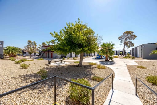 a courtyard with a tree and benches in front of a building