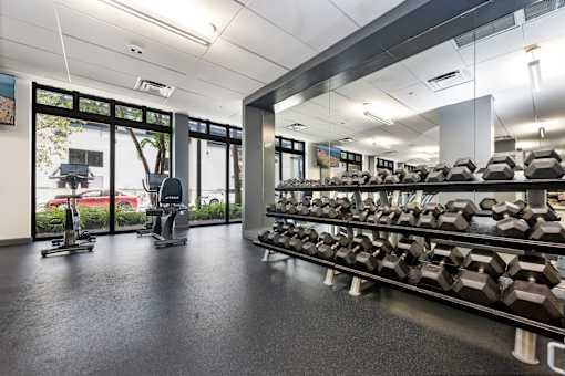 A gym with a row of dumbbells on the right and a row of exercise bikes on the left.