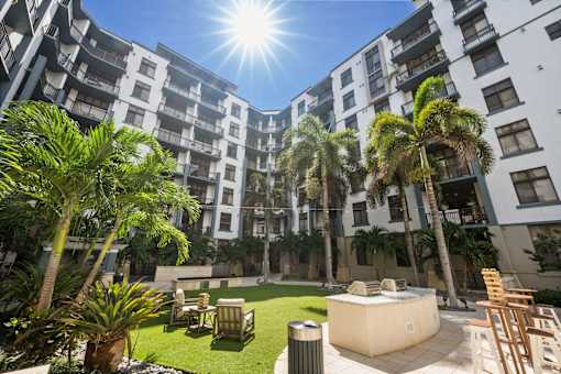A sunny day at a courtyard with palm trees and a hot tub.