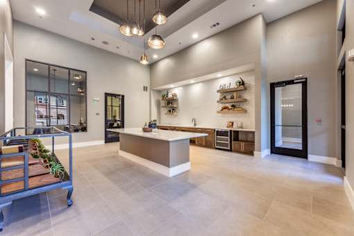 A modern kitchen with a long counter and a plant on it.
