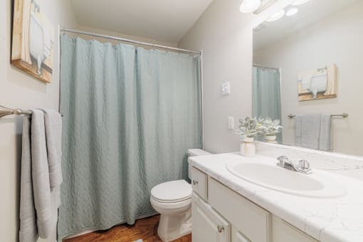 a bathroom with a shower and a sink and a toilet