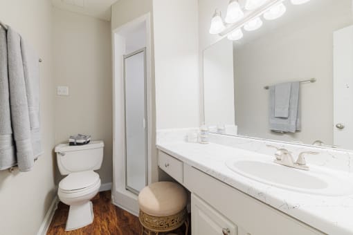 a bathroom with a toilet and a sink and a mirror