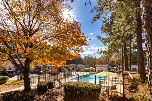 our apartments offer a swimming pool