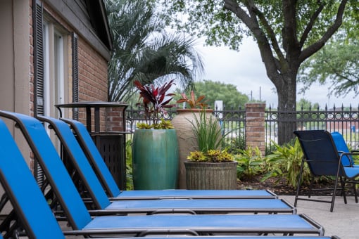 a patio with blue chairs and plants and a tree