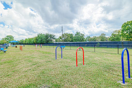 A playground with a blue swing set and red and blue monkey bars.