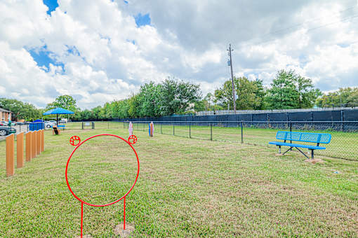 A park with a red circle drawn on the grass.