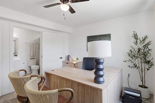 A room with a desk, chair, and a plant.