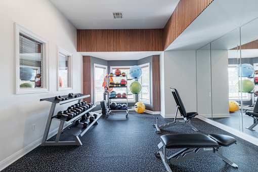 A gym with a row of dumbbells and a bench press.