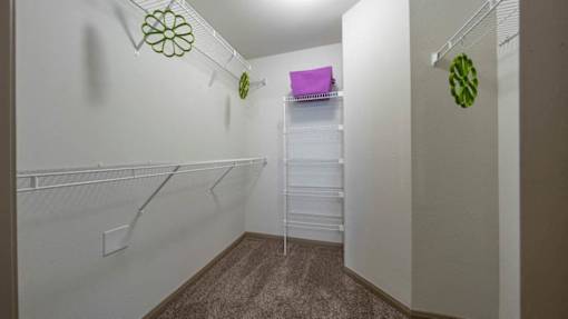 A walk-in closet with white shelves and a carpeted floor.