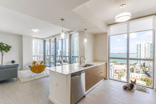 A dog is sitting on the floor in a modern kitchen with a view of the city.