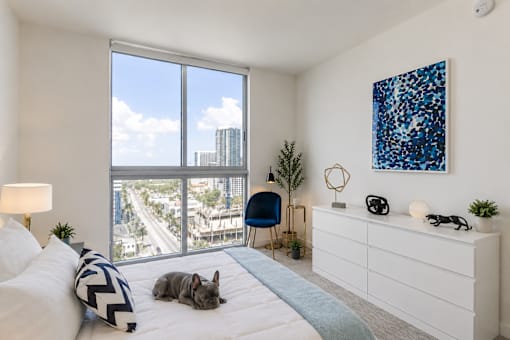A dog is lying on a bed in a room with a large window.