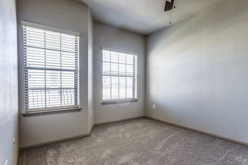 a bedroom with two windows and a carpeted floor