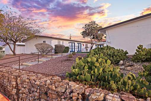 A house with a stone wall and a cactus in front.