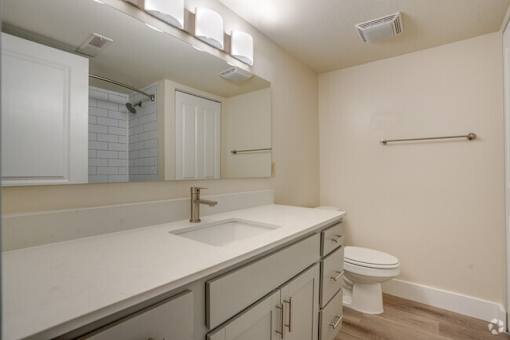 a bathroom with a sink and a toilet and a mirror