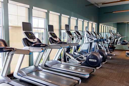 A row of treadmills and elliptical machines in a gym.