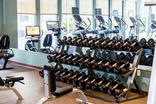 A gym with a rack of dumbbells and exercise machines.