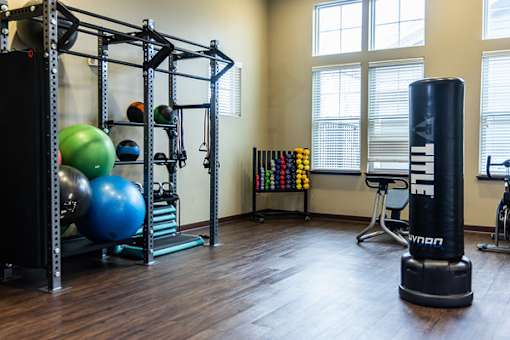 A gym with a punching bag, weights, and exercise balls.