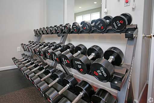 A rack of black dumbbells with red and white labels.
